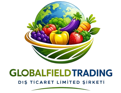 GLOBAL FİELD TRADİNG DIŞ LİMİTED ŞİRKETİ