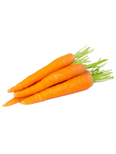 Havuç