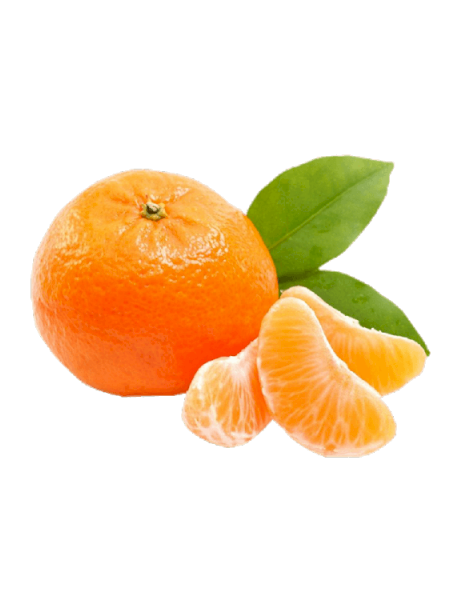 Mandalina