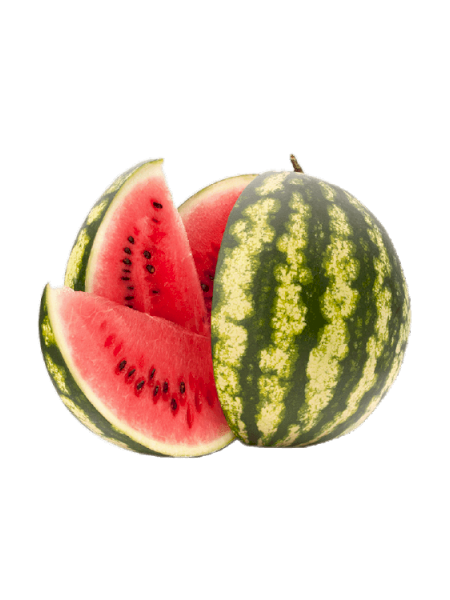 Karpuz