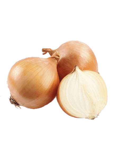 Soğan